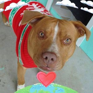 Meet your Posher, Valerie